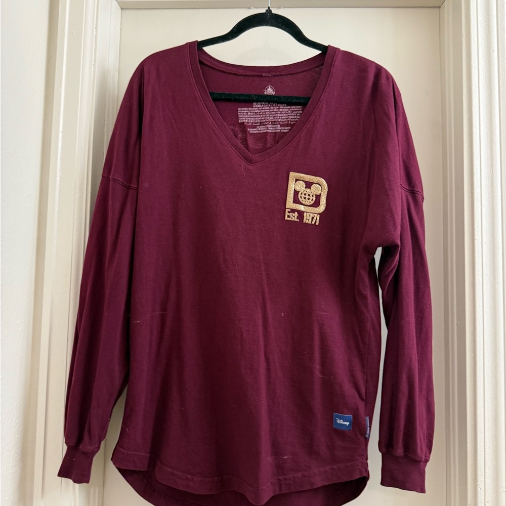 Disneyworld v neck spirit jersey